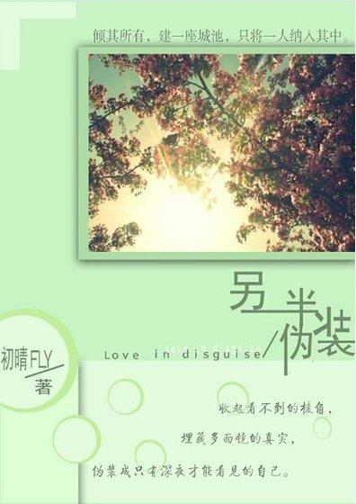 另一半偽裝