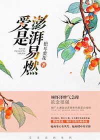 《愛是澎湃易燃》