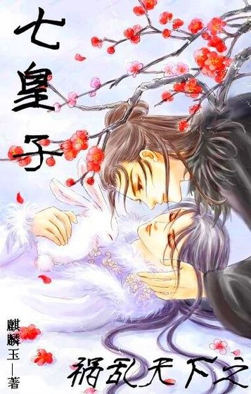 祸滦天下之七皇子