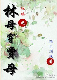 (紅樓同人)紅樓之林母穿賈母