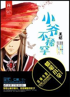 王妃?小爺不稀罕