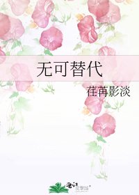 《无可替代》