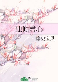 《独倾君心》