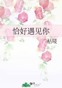 恰好遇見你