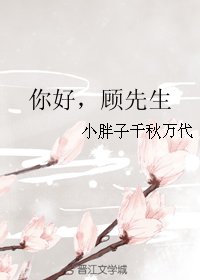 你好,顾先生