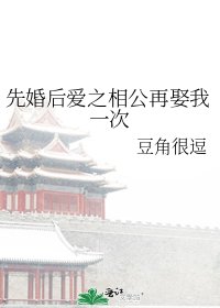 先婚后爱之相公再娶我一次