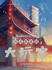 《四合院裏的大玩家》