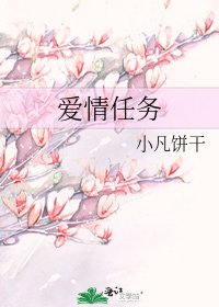 《爱情任务》