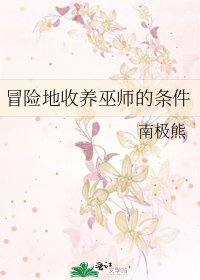 冒险地收养巫师的条件
