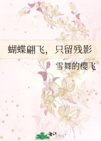 《蝴蝶翩飞,只留残影》