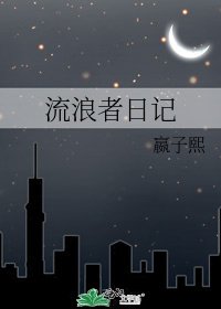 流浪者日记