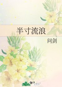 半寸流浪
