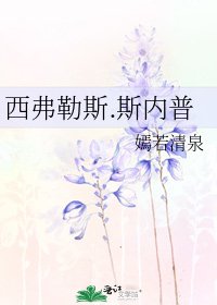 《西弗勒斯.斯內普》