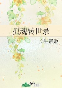 孤魂转世录
