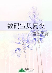 《数码宝贝夏夜》