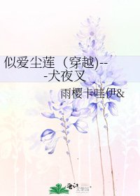 似爱尘莲(穿越)---犬夜叉