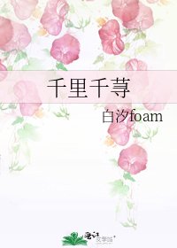 《千里千荨》