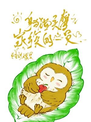 (綜漫同人)慎為貓頭鷹家族的一員