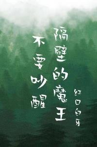 不要吵醒隔闭的魔王