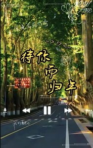 《待你而归年》