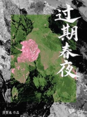 过期椿夜
