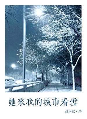 她來我的城市看雪
