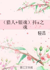 (BL/綜漫同人)(獵人+銀浑)兜s之浑